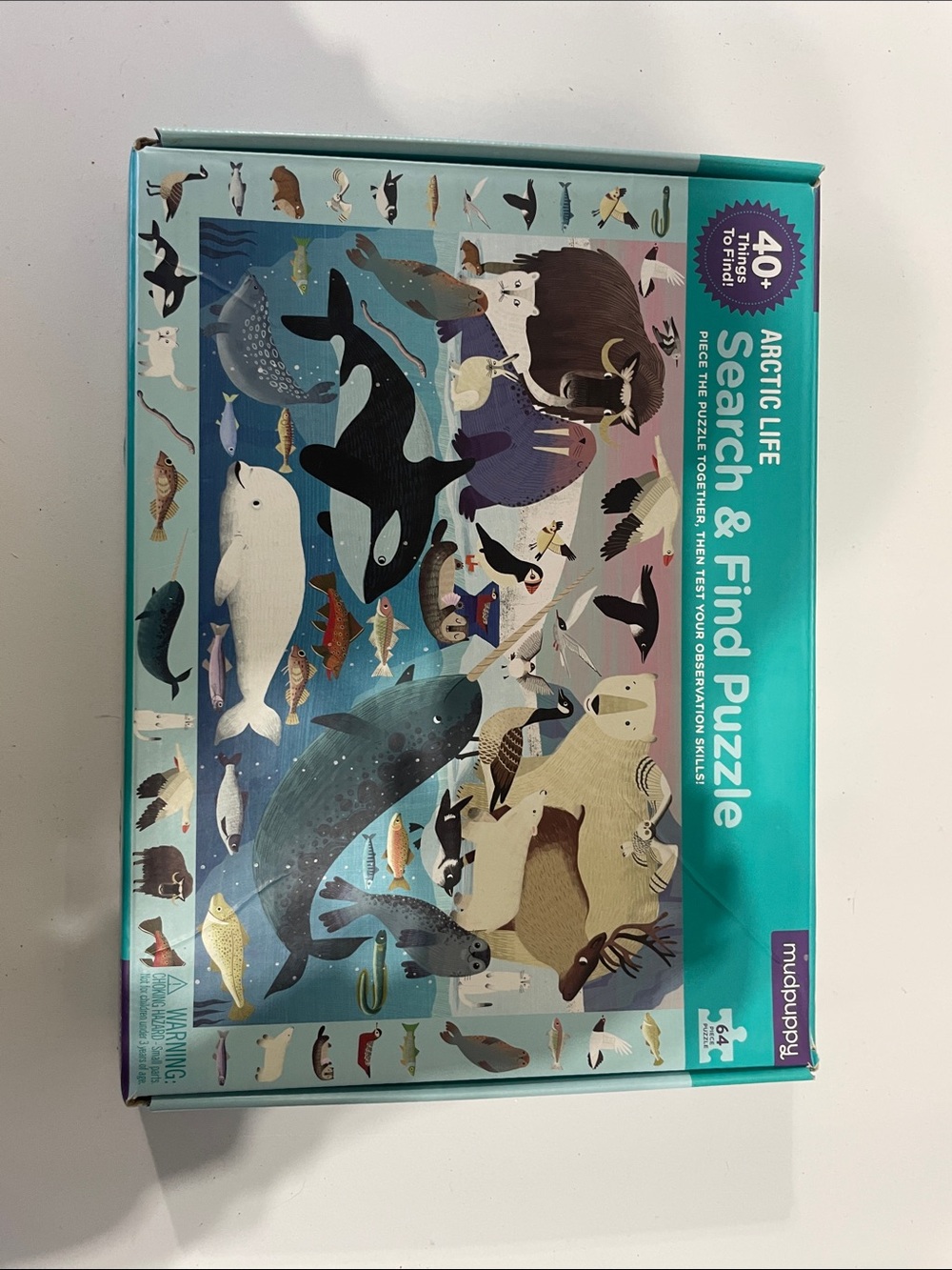 Arctic Life Search & Find Puzzle - Teal Box